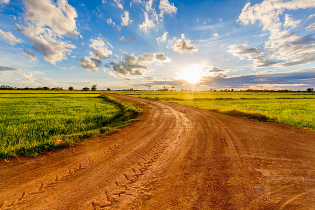 dirt road between farm fields with stunning sunrise in the blue sky background
